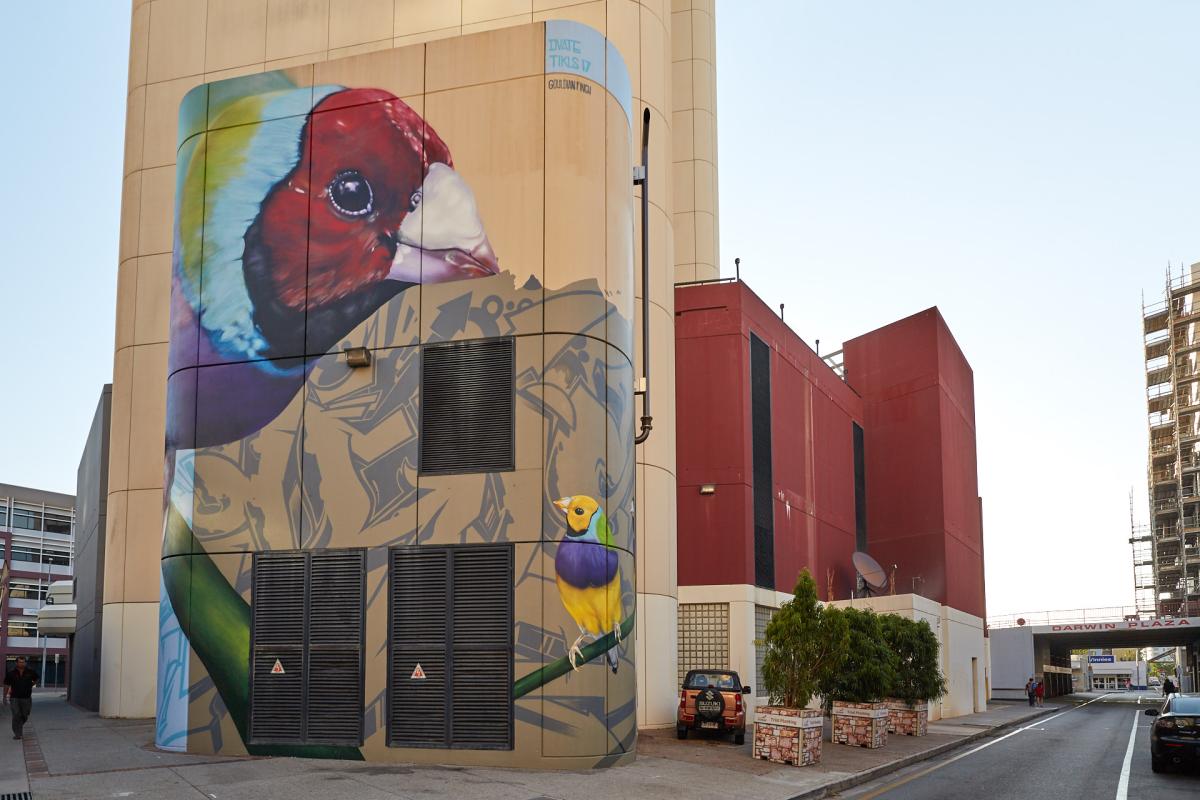 The Gouldian Finch