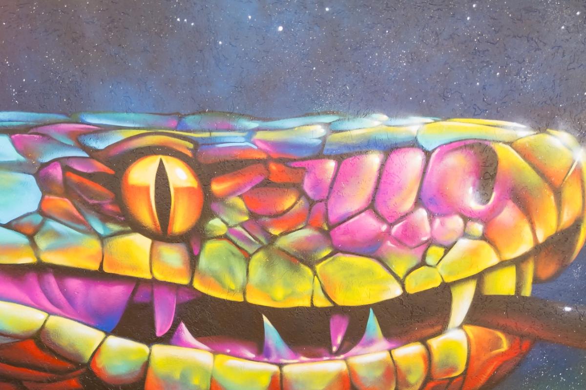 Rainbow Serpent