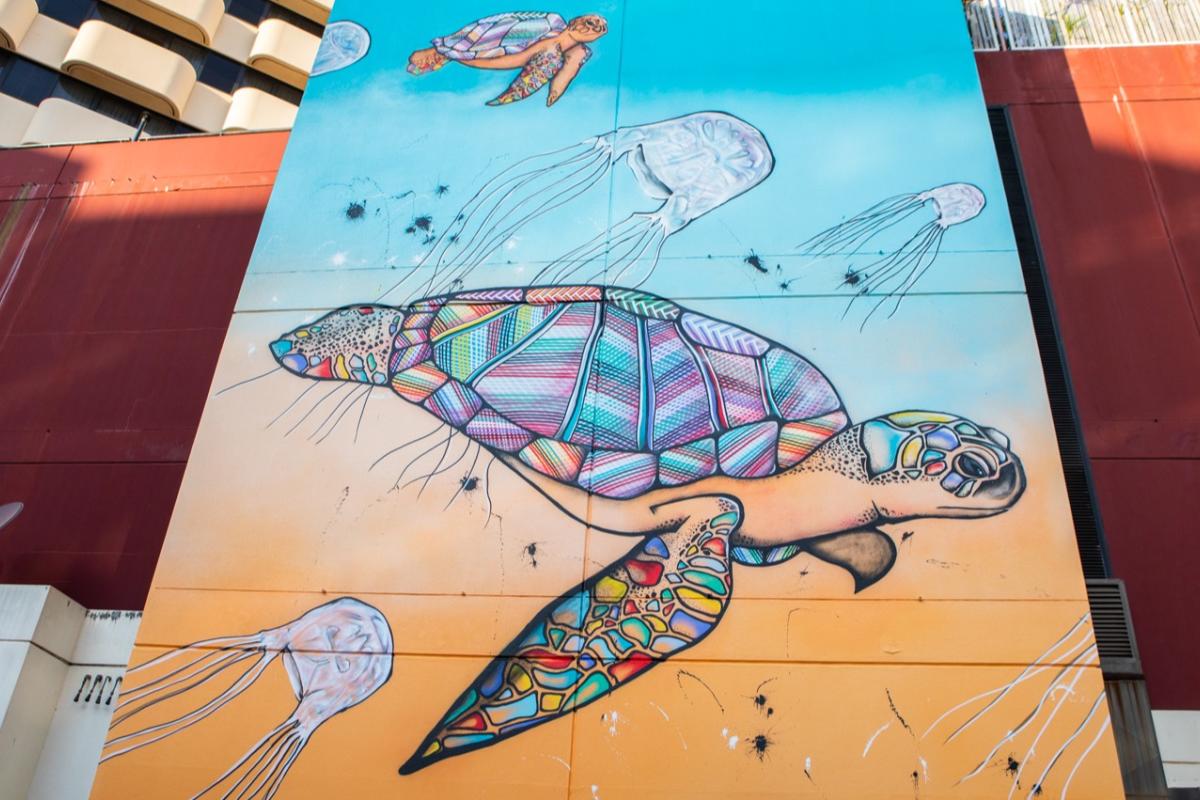 Hafleg Turtle