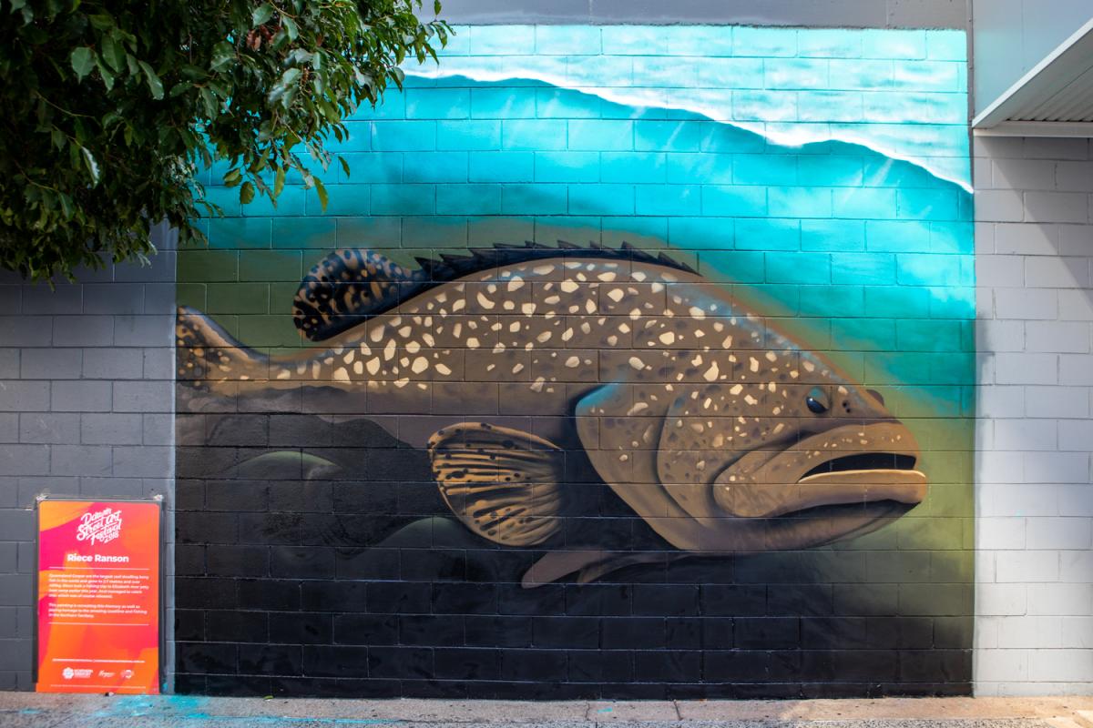 Queensland Grouper