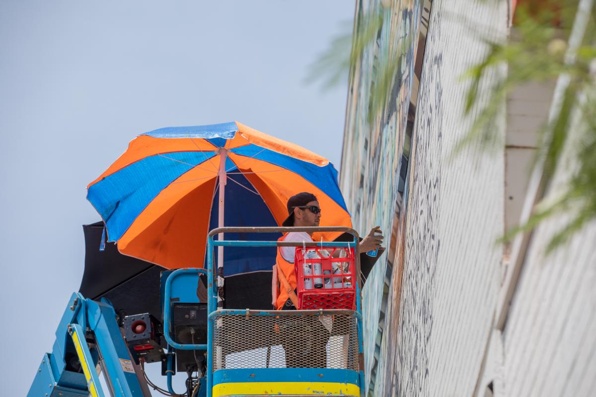 The Salt Water Crocodile (Dungalaba) 