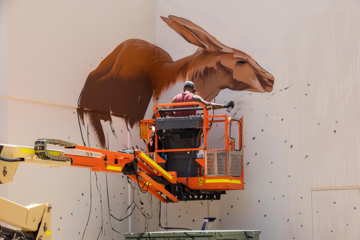 Odeith