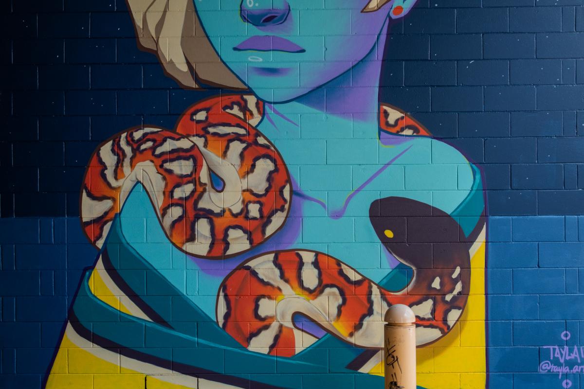 Tayla Broekman