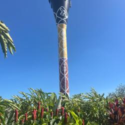 Darwin Water Tower painted