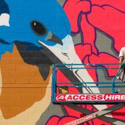 Azure Kingfisher