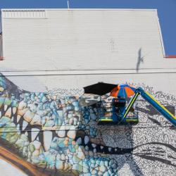 The Salt Water Crocodile (Dungalaba) 