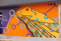 Destruction of Introduction