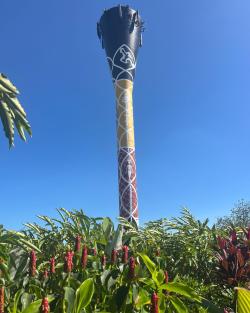 Darwin Water Tower painted