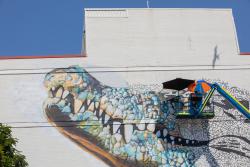 The Salt Water Crocodile (Dungalaba) 