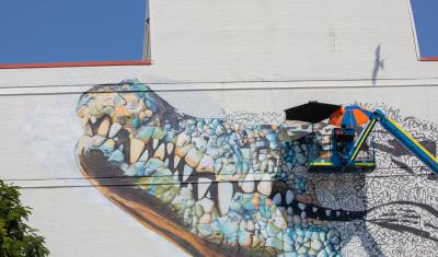 The Salt Water Crocodile (Dungalaba) 