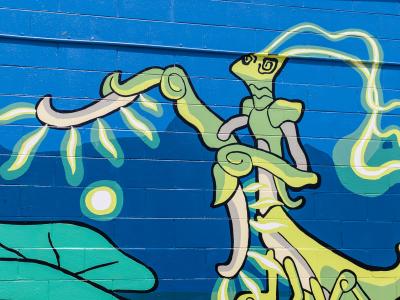 Song birds and dance bugs