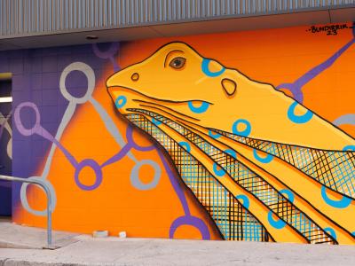 Destruction of Introduction