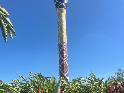 Darwin Water Tower painted