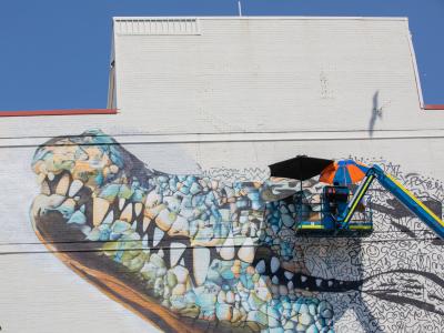 The Salt Water Crocodile (Dungalaba) 