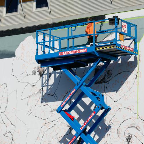 Gossypium Sturtianum