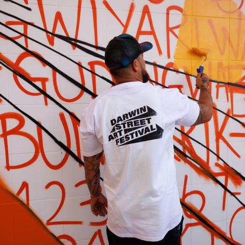 Destruction of Introduction