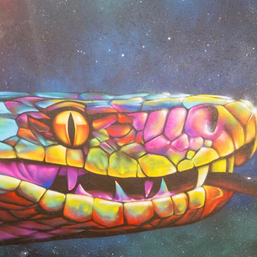 Rainbow Serpent
