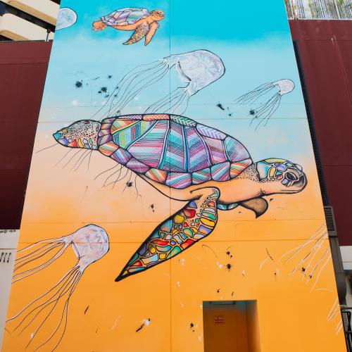 Hafleg Turtle