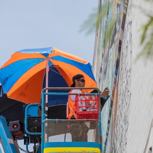 The Salt Water Crocodile (Dungalaba) 