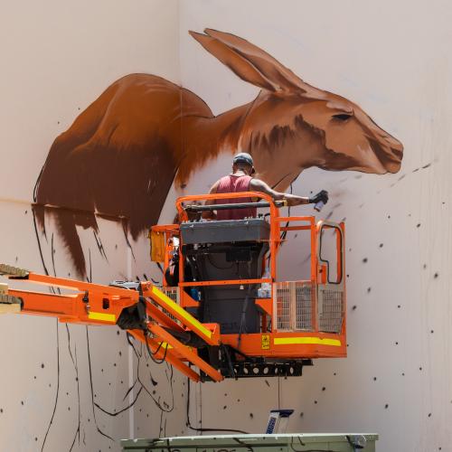 Odeith