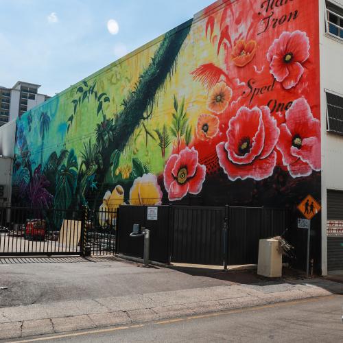 Poppies for the people