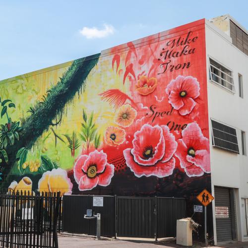 Poppies for the people