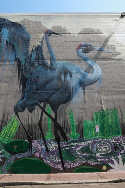 Cam Scale & Les Huddleston