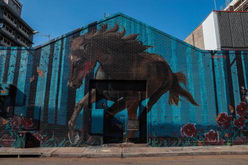 Loretta Lizzio & Shilo Mcnamee